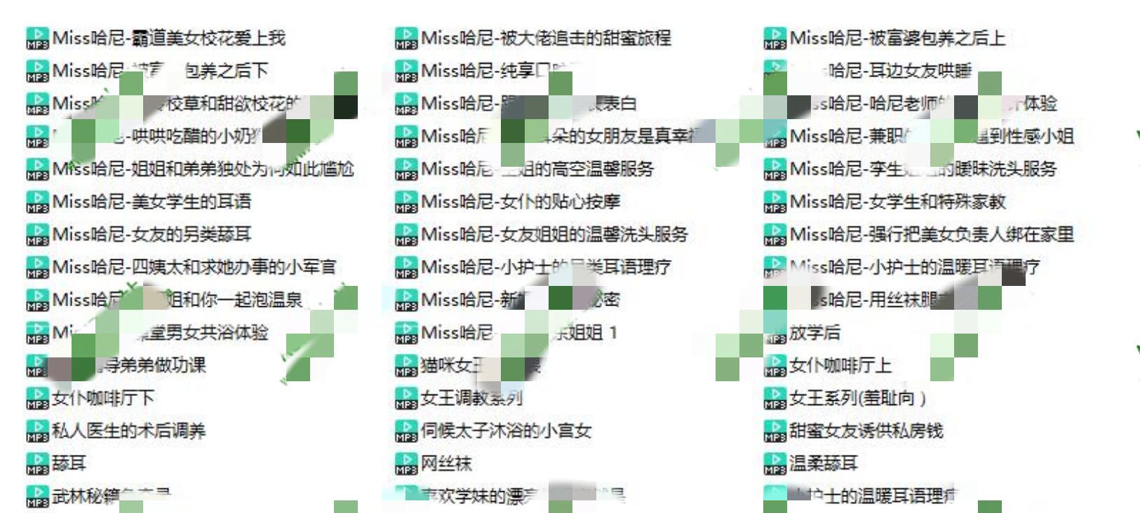 Miss哈尼音声45部1.09G