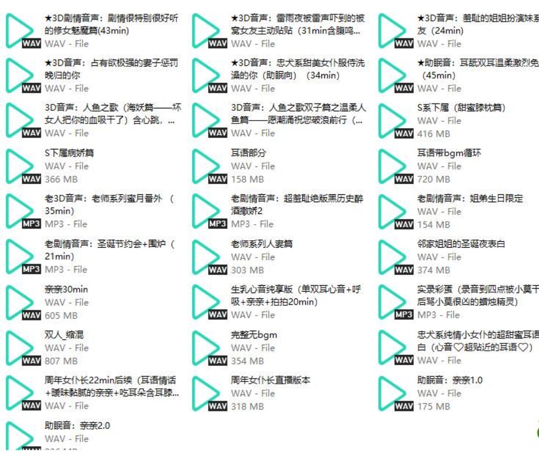 B站烛灵儿生日会舰长音声28部