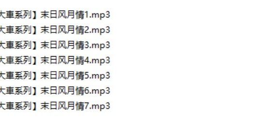 是喵宝呀【小孩大車系列】末日风月情7部音频