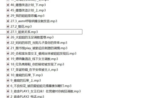 35夏天音声21部音频合集