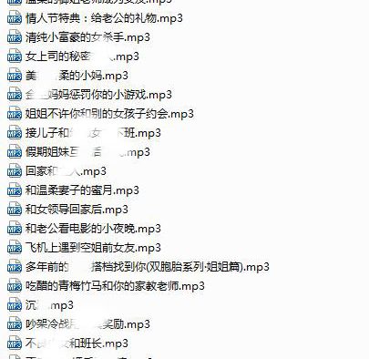 奶斯姐姐音声全集，大小6G